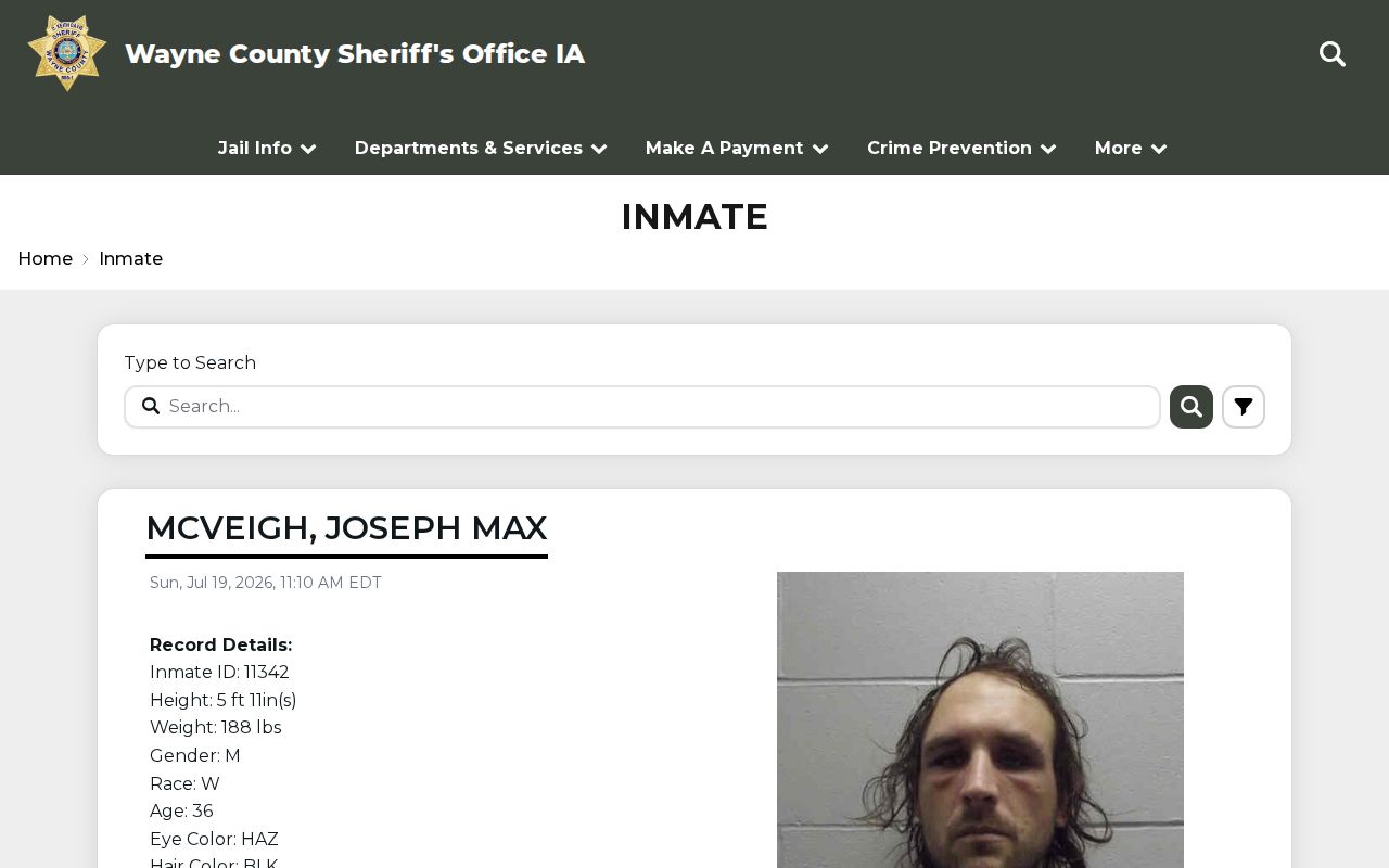 Wayne County arrest search current-inmate roster interface