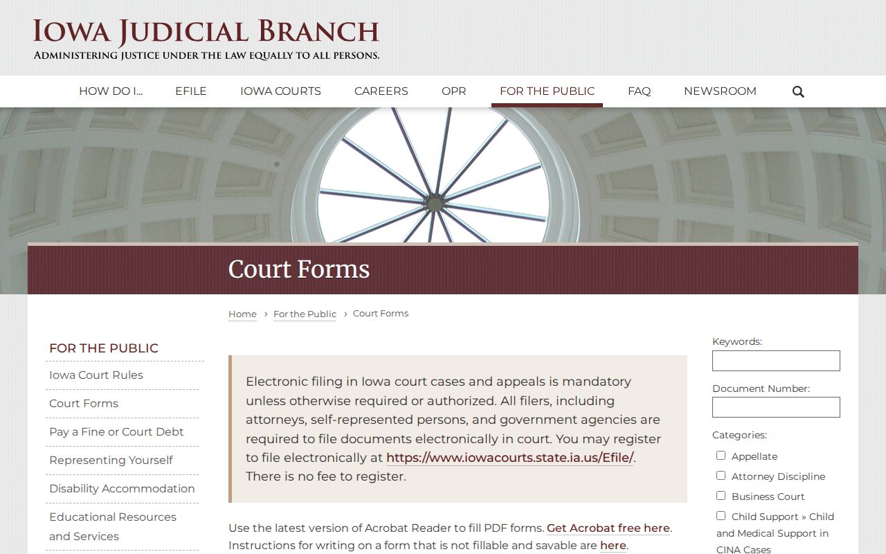 Iowa court forms used with Wayne County criminal case records